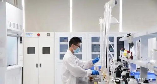 駿亞科技旗下工廠 教育科技的創新引擎與實訓基地